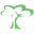 Exotic Hardwoods Icon