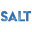 SALT Icon