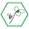 Orchid Cellar Icon