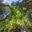 Mostly Green Icon
