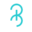 Brisla Icon