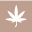 Svn Space Icon