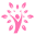 Sunmay Icon