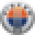 Fisker Icon