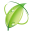 Raw Biology Icon