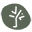 Estero Bay Olive Oil & Tea Icon