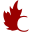 Canadian Naturals Icon