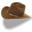 Catalena Hatters Icon