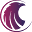 Falcon Embroidery Icon