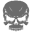 Tactical Skeleton Icon