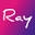 RayWigs Icon