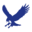Falcon Enamelware Icon