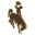 Wyoming Cowboys Shop Icon