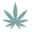CBD Daily Icon