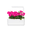 Grow Smart Greens Icon