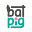 BATPIG Co. Icon