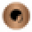 Rootz.shop Icon