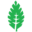Runa Icon