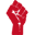 Black Power Icon