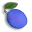 Blue Plum Software Icon