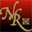 Nancy Rink Designs Icon