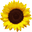 Scafuri Bakery Icon