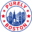 Purely Boston USA Icon