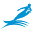 Waterskiers World Australia Icon