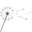 my little wish Icon