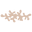 KINDRED-the boheme collective Icon