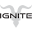 Ignite International Icon