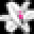 White Flower Icon