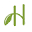 Herbis Natura Icon