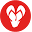 Havaianas Icon