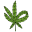 Cannabuddy Icon