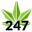 BuyWeed247 Icon