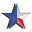 Texan Auto Repair & Collision Icon