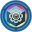 Token Developer Icon