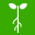 GrainChain Icon