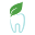 Green Dentistry Icon