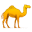 Caravan To Midnight Icon