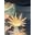 Fish N Pets Unlimited Icon