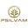 Psilvam Icon