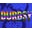 DURBSY Icon