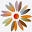 Smart House Icon