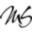 Michael Saldaña Salon Icon