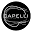Capelli Hair Extensions Icon