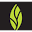 MINT dentistry Icon