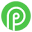 Payid19.com Icon