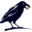 Cornix Icon